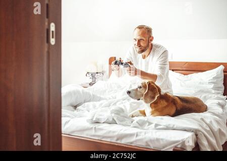 Der Mann spielt PC-Spiele, die morgens im Bett sitzen, sein Beagle-Hund beobachtet das Spiel mit großem Interesse Stockfoto