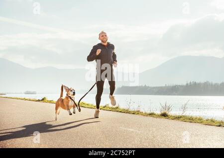 Zwei begeisterte Jogger: Der Mann und sein Beagle-Hund joggen morgens Stockfoto