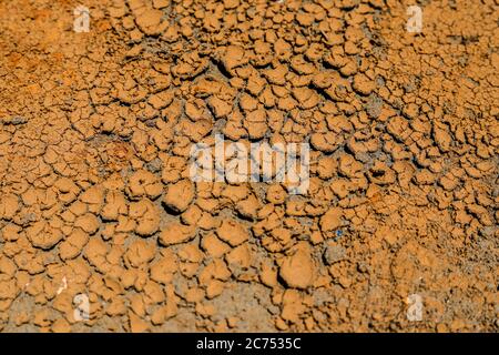 Trockenes Seebett mit natürlicher Textur von rissenen Ton in perspektivischen Boden. Stockfoto