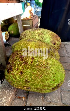 Jackfruit auf dem Markt in Stone Town, Sansibar Stockfoto