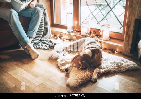 Mann liest Buch auf der gemütlichen Couch in der Nähe rutschen seinen Beagle Hund auf Schaffell in gemütlicher Atmosphäre. Friedliche Momente des gemütlichen Hauses Konzept Bild. Stockfoto