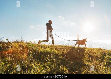 Canicross Übungen. Der Mensch läuft mit seinem Beagle-Hund am sonnigen Morgen Stockfoto