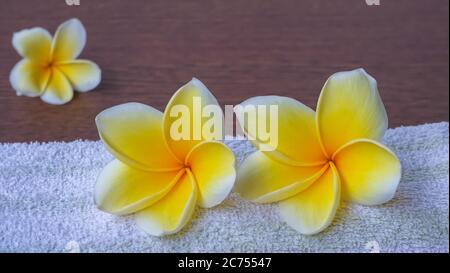 Nahaufnahme Frangipani Blumen und Handtücher Stockfoto