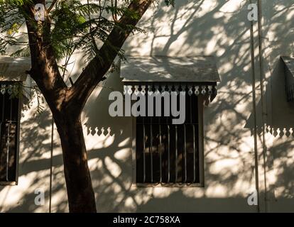 Pondicherry. Indien - Februar 2020: Fenster eines alten französischen Hauses mit Schatten des Laubes. Stockfoto