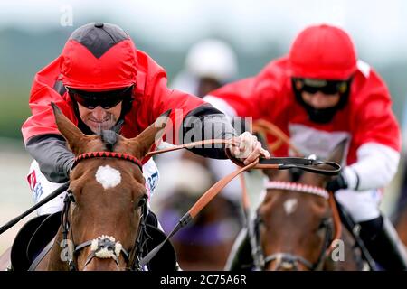 Perfect Grace von Jockey Brian Hughes (links) geritten, räumt die letzte, die signsolutions.org für Sponsoring Branding Novizen Hürde auf Southwell Racecourse zu gewinnen. Stockfoto