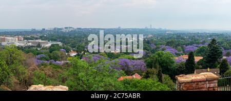 Johannesburg, Südafrika - Oktober 2019: Luftaufnahme von Johannesburg mit grünen Parks und Jacaranda-Bäumen in Südafrika. Stockfoto