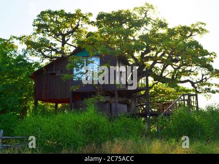 Baumhaus, Les Collines de Niassam, Sine-Saloum Delta im Senegal Stockfoto