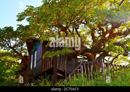 Baumhaus, Les Collines de Niassam, Sine-Saloum Delta im Senegal Stockfoto