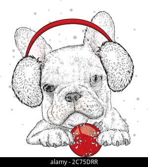 Niedliche Welpen im Winter Kopfhörer und Brille. Schöner Vollblut Hund. Spaniel. Neujahr und Weihnachten, Winter. Stock Vektor