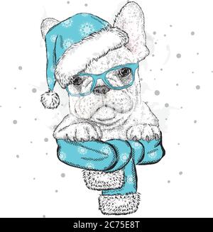 Hund in einem Weihnachtshut und Sonnenbrille. Vektorgrafik für eine Karte oder ein Poster. Drucken auf der Kleidung. Niedlicher Welpe. Stammbaum Hund. Winterurlaub. Neu Stock Vektor