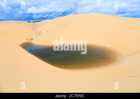 Lagunen und Dünen in Parnaiba, Piaui, Brasilien Stockfoto