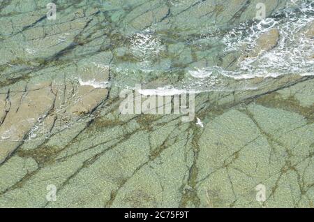 Die malerische Küste von Kaikoura ist der perfekte Ort für Meereslebewesen Begegnungen, Küstenwanderungen und stopfte in eine Platte von Krebsen. Stockfoto