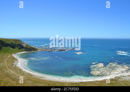 Die malerische Küste von Kaikoura ist der perfekte Ort für Meereslebewesen Begegnungen, Küstenwanderungen und stopfte in eine Platte von Krebsen. Stockfoto