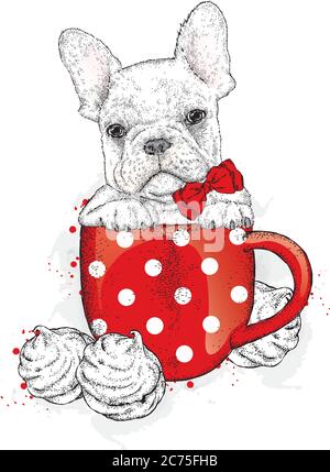 Französische Bulldogge in einer Tasse. Tasse und Marshmallows. Vektorgrafik für Grußkarte, Poster oder Druck auf Kleidung. Niedlicher Welpe. Stammbaum Hund. Stock Vektor