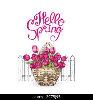 Handgezeichnetes Blumenbanner mit Frühlingsmotiv. Farbige Tulpe. Willkommen im Frühling. Handgezeichnete Abbildung. Gut für Ostern, Frauentag, Valentinstag Grußkarten Stock Vektor