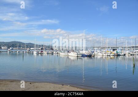 Sonniger Tag auf Wellington Yacht. Wellington, die Hauptstadt Neuseelands. Eine kompakte Stadt, sie umfasst eine Uferpromenade. Stockfoto