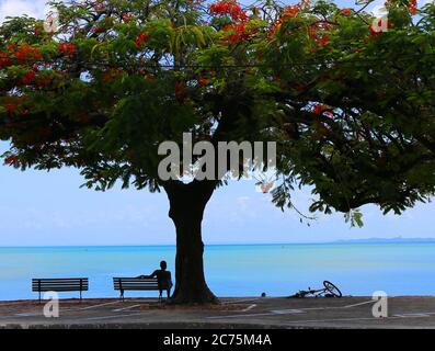 Baia de Todos os Santos, Salvador de Bahia, Brasilien Stockfoto