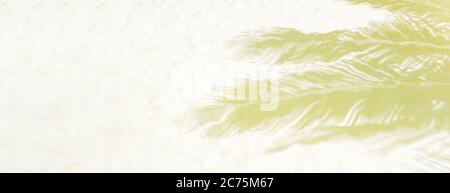 Palm Leaf Schatten auf weißem Sand am tropischen Strand. Trendy urlaub Konzept. Selektive konzentrieren. Stockfoto