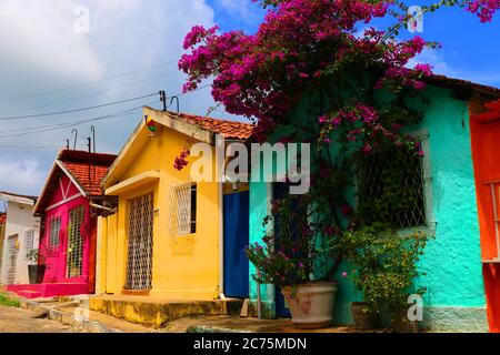 Bunte Kolonialhäuser in Olinda, Pernambuco, Brasilien Stockfoto