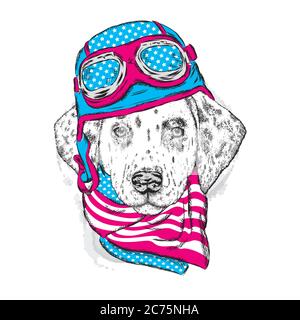 Ein schöner Hund in Helm und Schal. Ein Pedigreed Welpe in der Kleidung eines Reiters oder Piloten. Vektorgrafik für eine Postkarte oder ein Poster, PR Stock Vektor