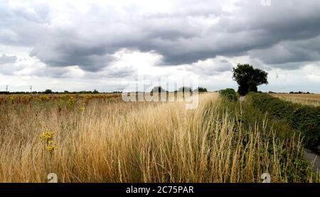 Land um Sevington in Ashford, Kent, da das Verkehrsministerium derzeit ein 27 Hektar großes Grundstück in der Nähe von Ashford kauft, da es sich anstellt, die EU am Ende des Jahres zu verlassen. Bilddatum: Dienstag, 14. Juli 2020. Die Regierung wurde wegen mangelnder Kommunikation mit den Bewohnern kritisiert, was der lokale Abgeordnete sagte, weil er "herumkrabbelte", um einen Ort für LKW-Überlauf zu finden. Siehe PA Geschichte POLITIK Brexit Ashford. Bildnachweis sollte lauten: Gareth Fuller/PA Wire Stockfoto