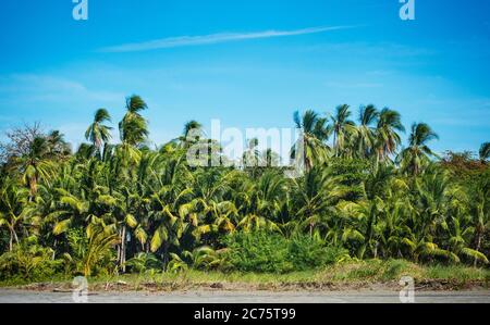 Strände von Santa Catalina, Panama, Mittelamerika Stockfoto