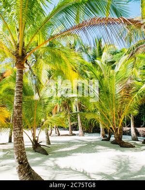 Strände von Coiba Island, santa catalina, Panama, Mittelamerika Stockfoto