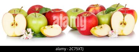 Apfelfrüchte rote und grüne Äpfel Obst isoliert auf weißem Hintergrund in einer Reihe Stockfoto