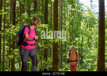 Zwei Frauen mittleren Alters gehen in sicherer Entfernung und sprechen. Stockfoto