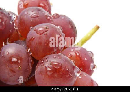 Rote Trauben mit Wassertropfen Stockfoto