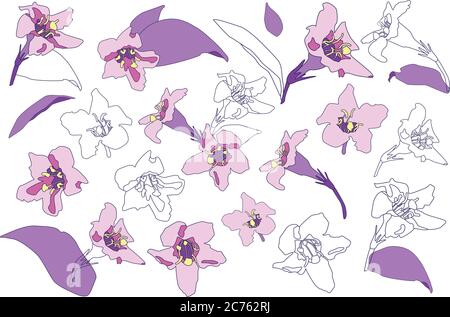 Vektor-Set von abstrakten blühenden Blumen. Lila Blumen Vektor Colletion. Isolierte violette Blumen Illustration. Stock Vektor