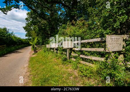 Skurrile Holzschilder, die vor Geschwindigkeitsüberspitzungen mit Anagrammen auf der Country Lane warnen, Gifford, East Lothian, Schottland, Großbritannien Stockfoto