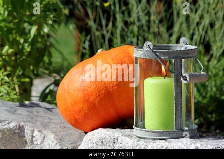 Kürbis mit Blumen und Kräutern im Garten Stockfoto