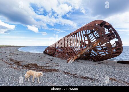 Überreste eines alten Schiffes in der Bucht von San Gregorio - Chile Stockfoto