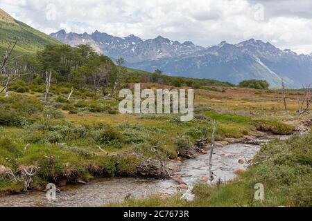 Fluss auf dem Weg zum Esmerald See - Ushuaia, Argentinien Stockfoto