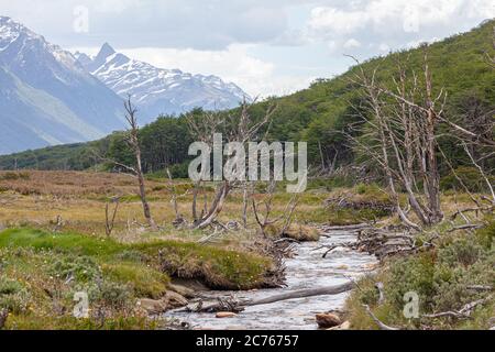 Fluss auf dem Weg zum Esmerald See - Ushuaia, Argentinien Stockfoto