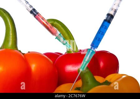 Genetisch verändertes Gemüse. GVO-Lebensmittelkonzept. Spritzen werden in Gemüse mit chemischen Zusätzen eingeklebt. Injektionen in Obst und Gemüse. Ist Stockfoto