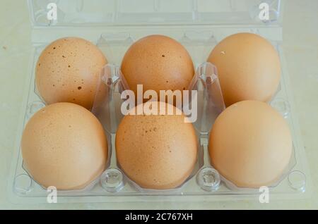 Eier In Eierbox Stockfoto