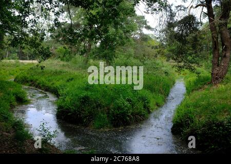 Typische holländische Landschaften auf einem langen Spaziergang genannt ' Pieterpad ' Stockfoto