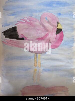 Aquarell-Gemälde eines andinen Flamingos, Phoenicoparrus andinus Stockfoto