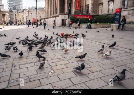 London / UK - 07/11/2020: Der ältere Mann bekam seinen Kopf mit roter Farbe bedeckt und lag auf dem Trafalgar Square neben den Dutzenden Tauben Stockfoto