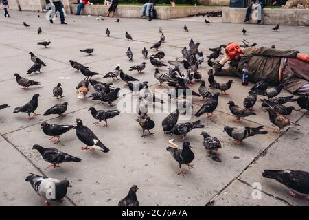 London / UK - 07/11/2020: Der ältere Mann bekam seinen Kopf mit roter Farbe bedeckt und lag auf dem Trafalgar Square neben den Dutzenden Tauben Stockfoto