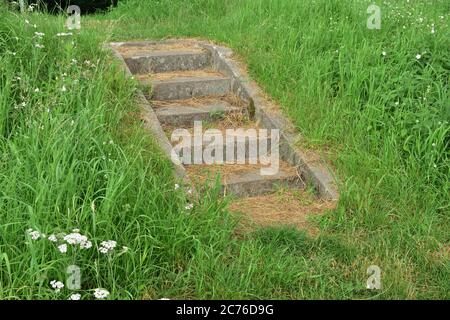 Betontreppe auf dem Damm mit Gras überwuchert. Sommer. Stockfoto