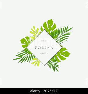 Tropical Leaves Fashion Sign, Karte oder Logo Vorlage. Abstrakt Grüne Monstera-Blätter mit Rhombus-Bordüre und klassischer Typografie. Helle Farben. Stock Vektor