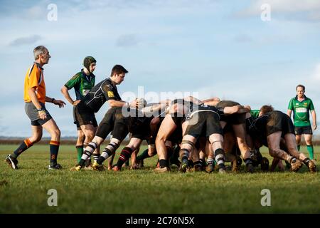 Scrummage wird vom Schiedsrichter genau beobachtet. North Dorset RFC 1. XV vs Sherborne RFC 1. XV - Sa 4. Februar 2017 - Gillingham, Dorset, England. Stockfoto