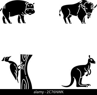 Verschiedene Tiere schwarze Glyphen Symbole auf weißen Raum gesetzt. Gemeinsame Waldvogel und exotische Fauna Silhouette Symbole. Nilpferd, Specht, amerikanischer Bison Stock Vektor