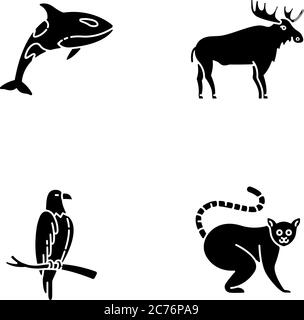 Verschiedene Tierarten schwarze Glyphen-Symbole auf weißem Raum gesetzt. Killerwal, exotischer Lemur, Adler und Elch Silhouette Symbole. Raubvogel, Land anim Stock Vektor