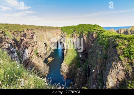 Bullers of Buchan Cliffs in Aberdeenshire, Schottland Stockfoto