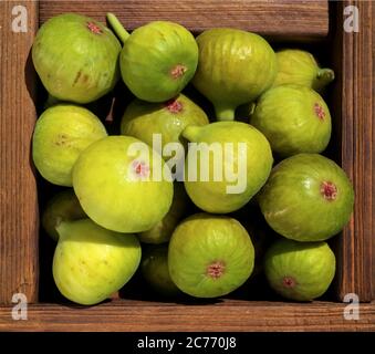 Reife Feigen in einer Holzkiste Stockfoto