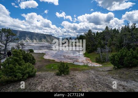 Obere Terrassen mit Blick auf Mammoth Hot Springs im Yellowstone National Park Stockfoto